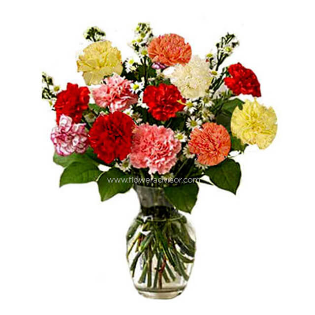 Elegant Carnations - Thank You