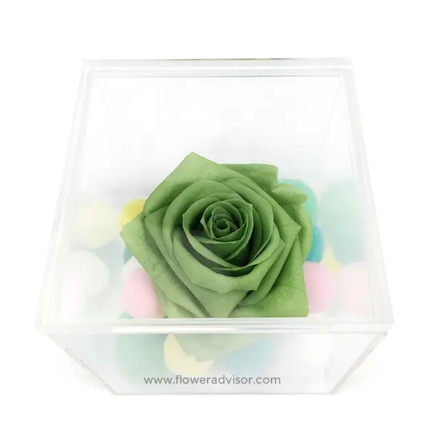 Love You Everyday (Green) - Table Flowers