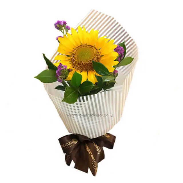 VDAY 2020 - Youre My Sunflower - Valentine's Day