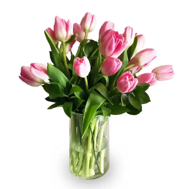 Morgen Schatje - Luxury Tulip Vase - Mothers Day