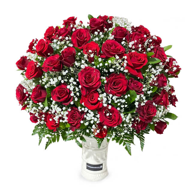 Summa - Grand 40 Red Roses with Baby Breath Fillers - Wedding