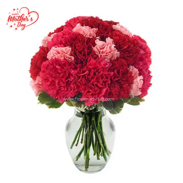 MDAY 2021 - Very Berry Carnations - Mothers Day