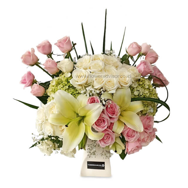 White Valley - Mixed Arrangement with Hydrangea - Congratulations
