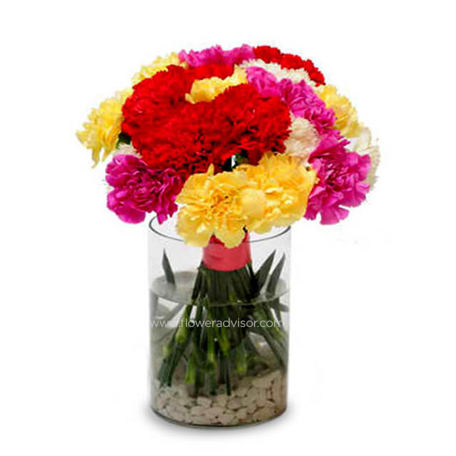 Rainbow Carnation Vase Arrangement - Vibrant Carnations - Congratulations