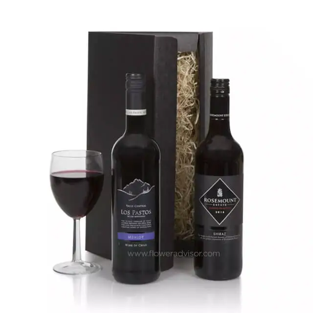 Premium Red Wine Duo - Gifts for Men