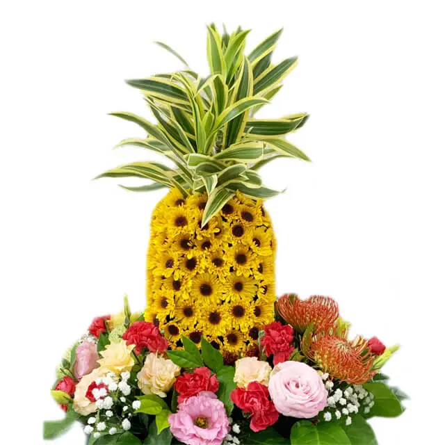 Prosperity Pineapple Arrangement - Get Well Soon