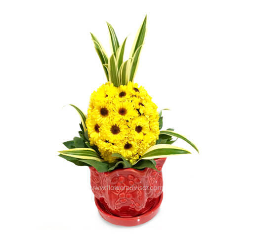 Prosperity Pineapple Arrangement (Small) - Get Well Soon