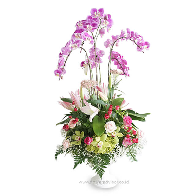 Classic Arrangement Orchids - Classic Diana - Table Flowers