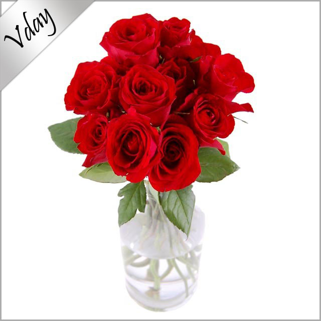 Dozen Red Roses - Valentine's Day