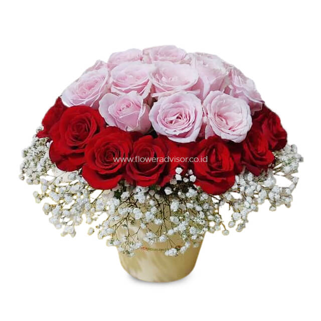 Alicya - Mixed Roses Vase Arrangement