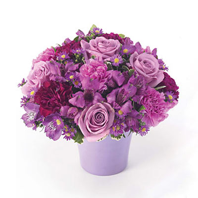 Lavender Garden - Valentine's Day