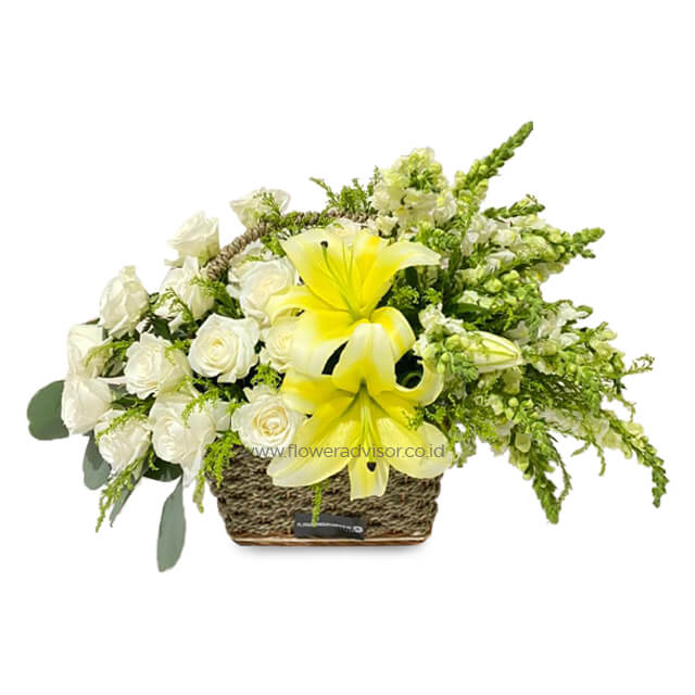 White Basket - Pure Basket of White Flowers - Get Well Soon