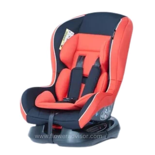 Baby Car Seat - New Borns