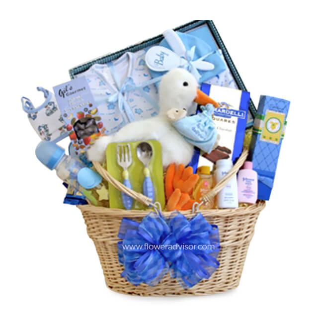 Special Stork Delivery Baby Boy Basket - New Borns