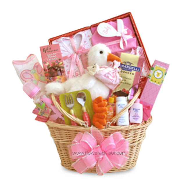 Special Stork Delivery Baby Girl Basket - New Borns