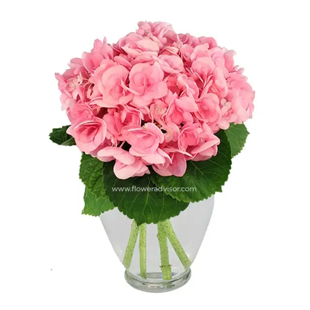 Hydrangea Happiness - Table Flowers
