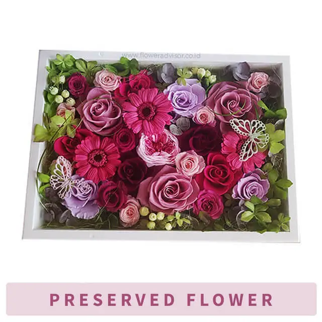 Hikaru- Preserved Flowers - Valentine's Day