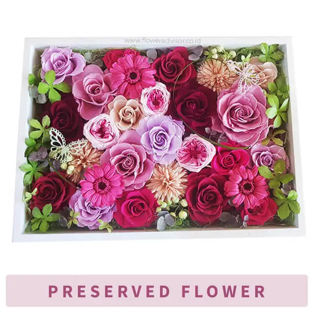 Yuto - Preserved Flowers - Valentine's Day