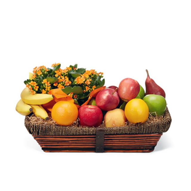 Beautiful Kalanchoe and Bountiful Fruit Basket - Get Well Soon