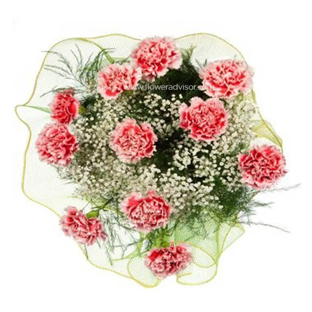 Carnival of Carnations Bouquet - Mothers Day