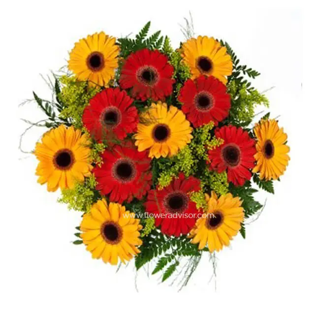 Sunshine and Springtime Bouquet - Get Well Soon