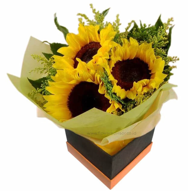 Sending Love Across the UK London FlowerAdvisor's Online Floral