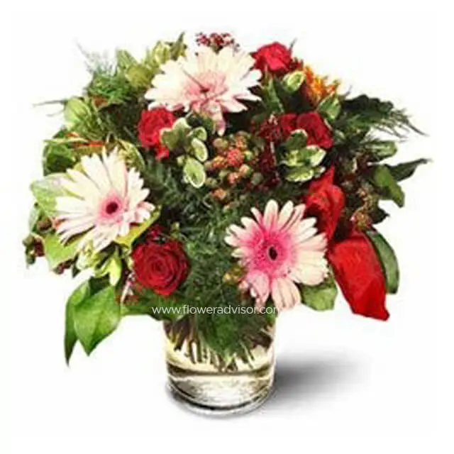 Roses with Gerbera Daisies - Anniversary