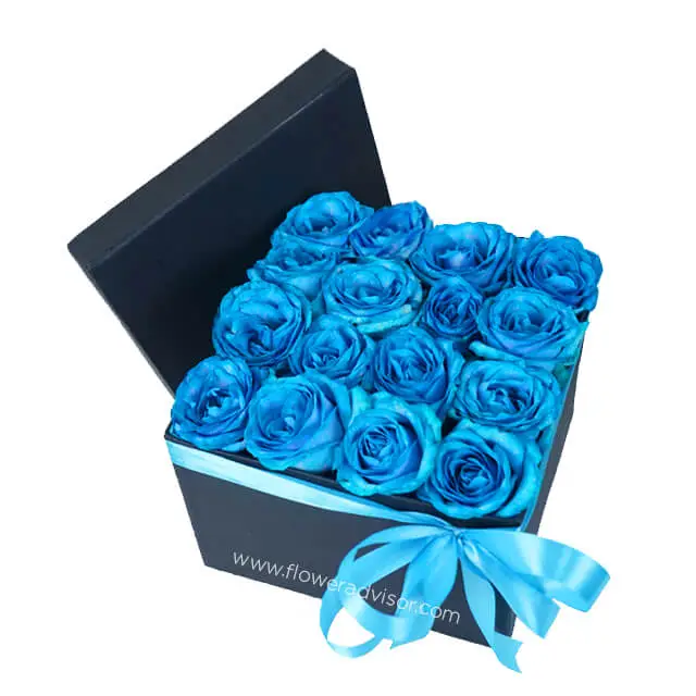 Box Blue Breeze Rose - Blue Roses