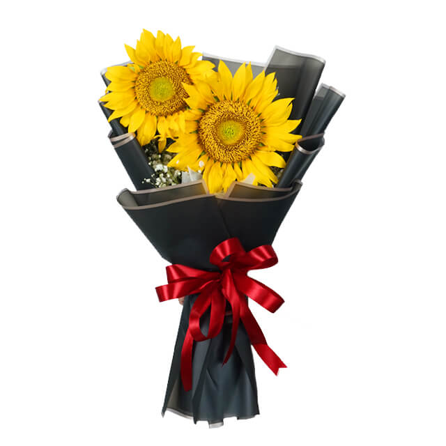 2 Stalks Sunflower Bouquet - Sunshine Smiles Bouquet - Congratulations