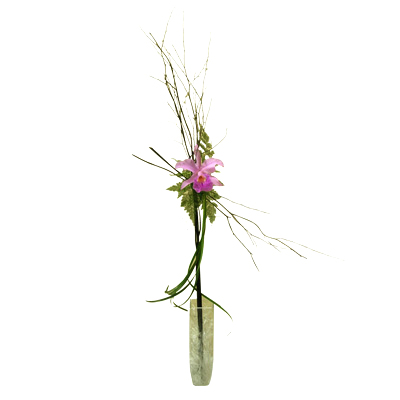 Purple Solitaire - Orchids