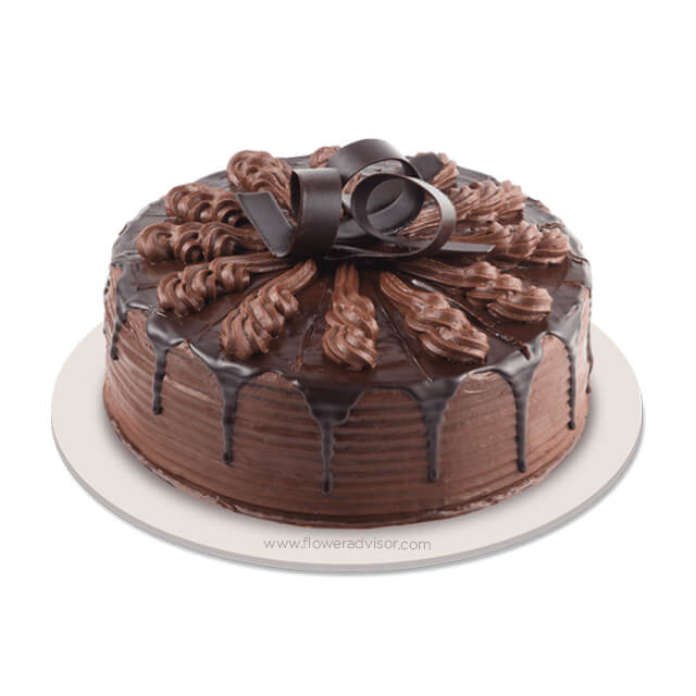 Choco Indulgence - Cakes