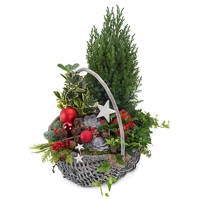 Festive Advent Basket - Christmas