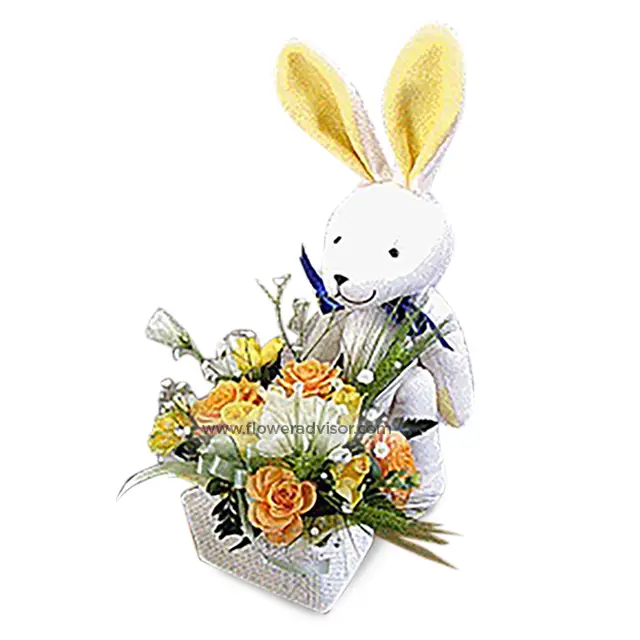 Bunny To Baby - Baby Gifts
