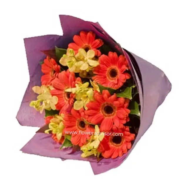 Cara Deluxe - Hand Bouquets