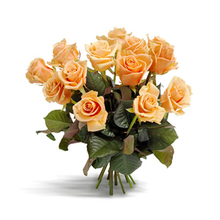 Awesome Apricot Roses Medium Bouquet - Peach Roses