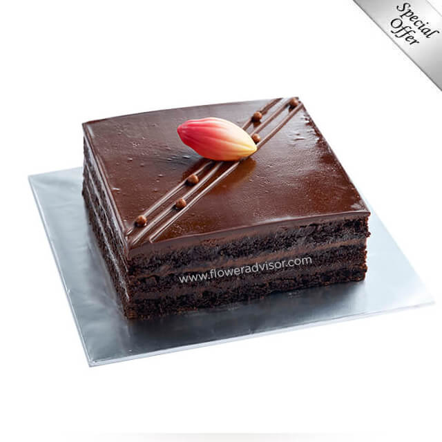 Chocolate Fudge (0.5kg) - Cakes