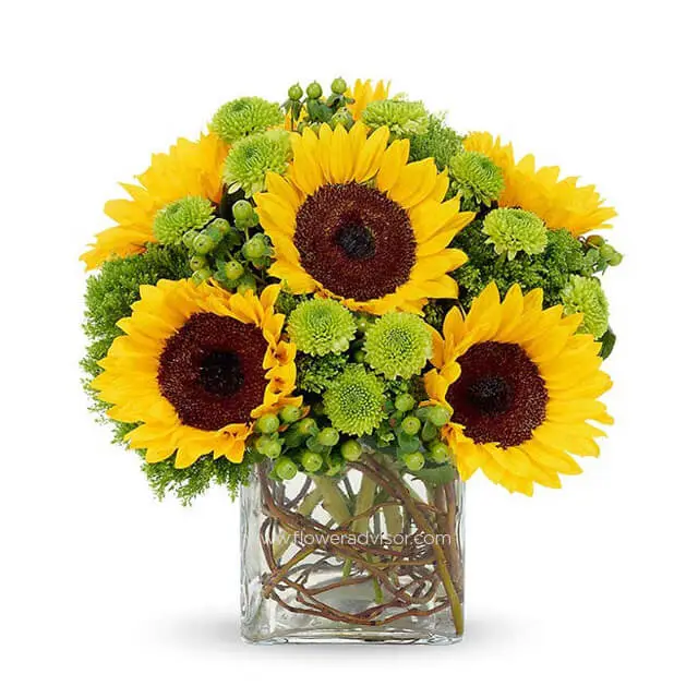 Sunflower Surprise - Get Well Soon