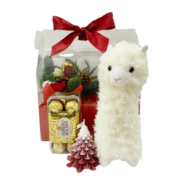 Mini Alpaca Hamper - Christmas 2023 - Christmas