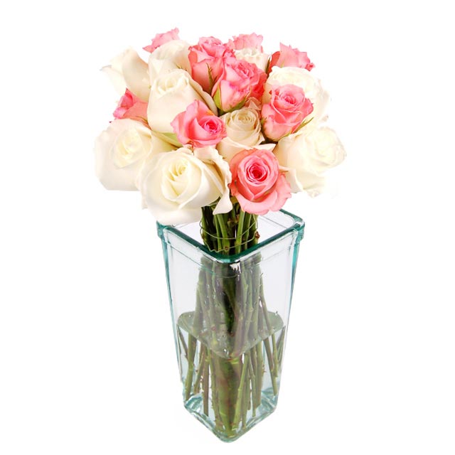 Dozen Pink & White Roses - Table Flowers