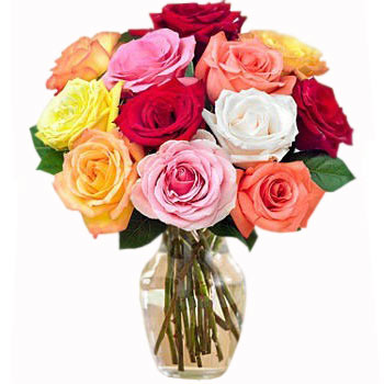 Dozen Rainbow Roses Bouquet - Thank You