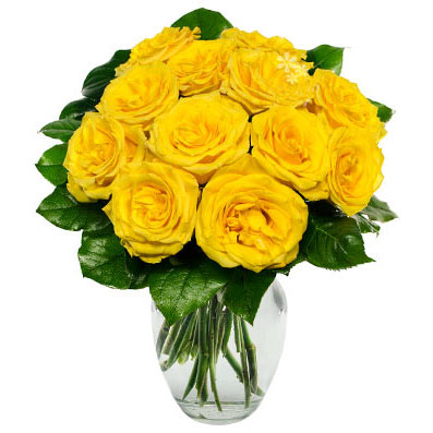One Dozen Yellow Roses - Get Well Soon