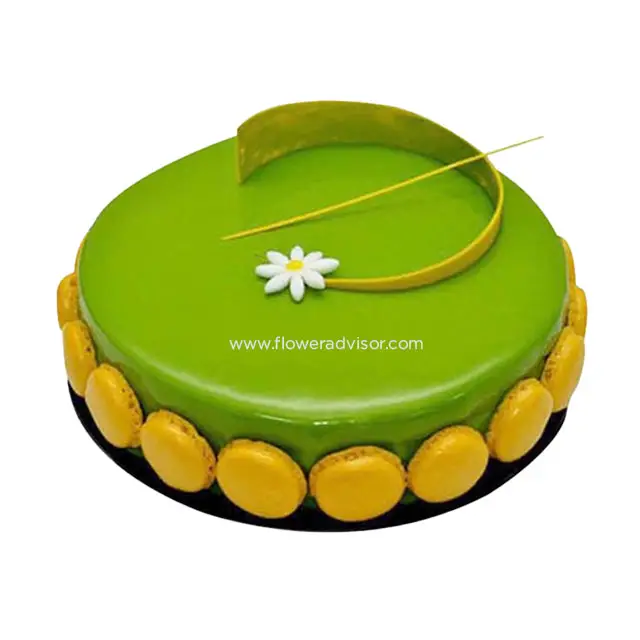 Pistachio Chocolate Cake - Birthday