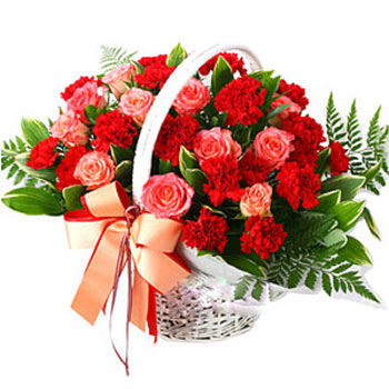 Beautiful Flower Basket - Carnation