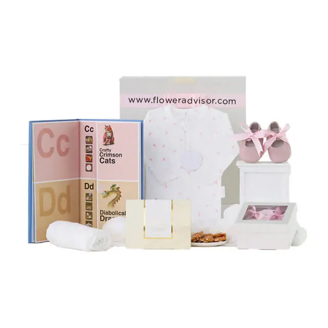 Babys First Shoes Hamper in Pink - Baby Gifts