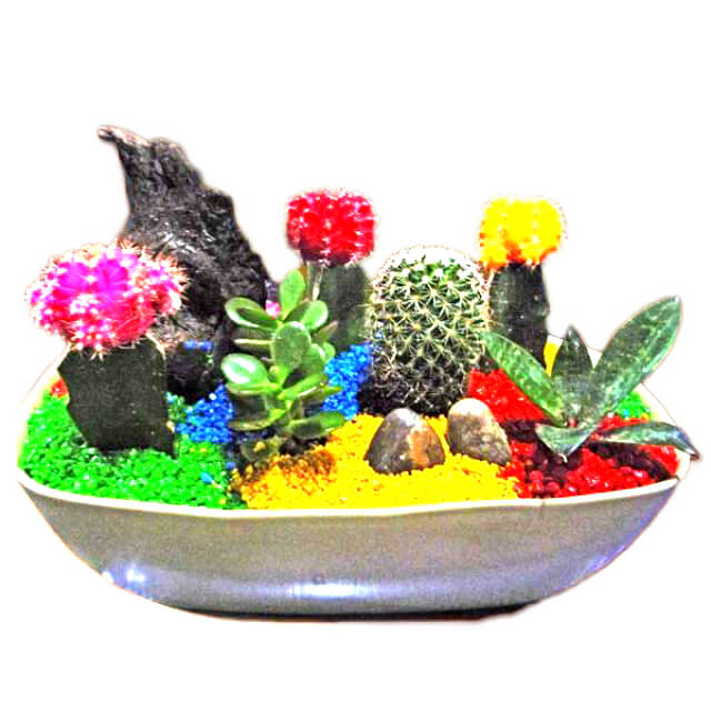 Cactus Minion - Secretary Week