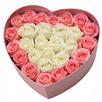 Pure Roses Romance - Valentine's Day