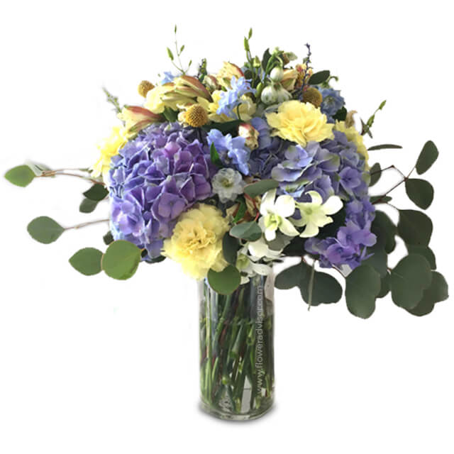 Enchanted Hydrangea and Carnation Vase Arrangement - Hunty - Congratulations