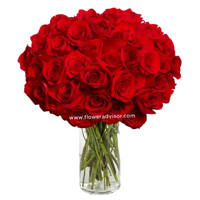 50 Stunning Long Stemmed Red Roses - Valentine's Day