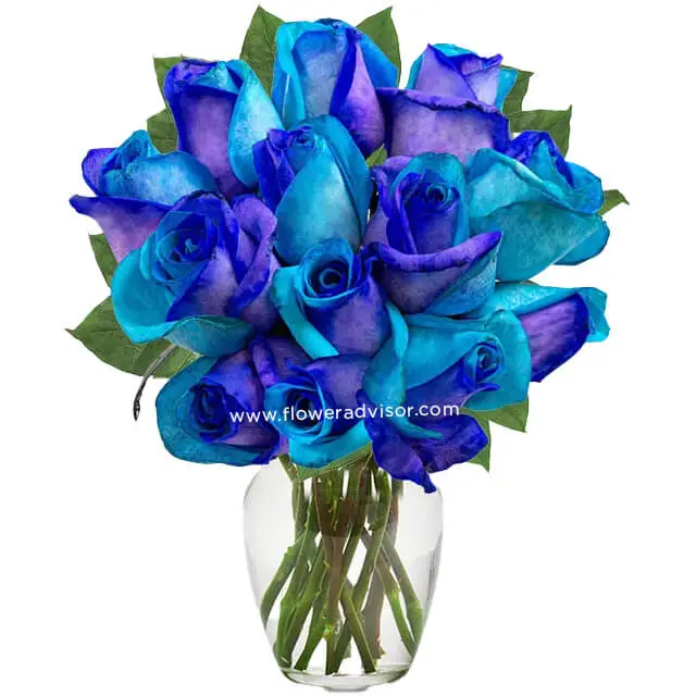 One Dozen Ocean Blue Roses - Birthday