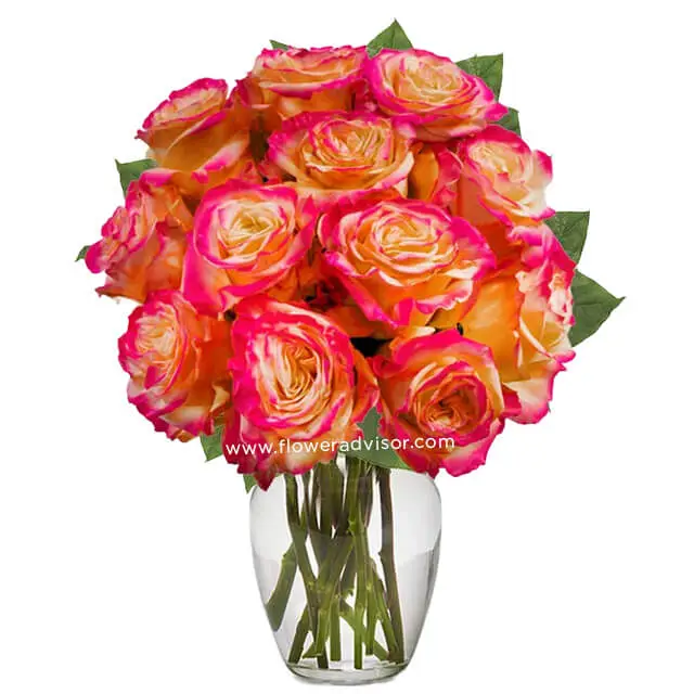 One Dozen Pop of Pink Roses - Valentine's Day